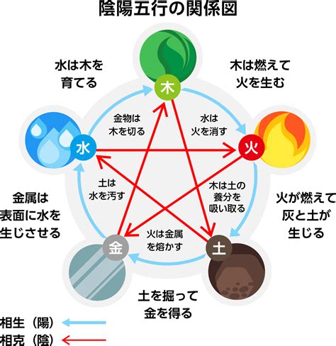 陰陽五行 動物|陰陽五行説とは？陰陽五行説の由来